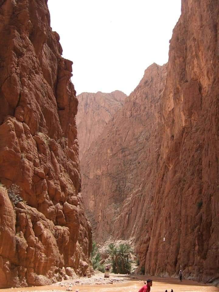 High Atlas Trekking